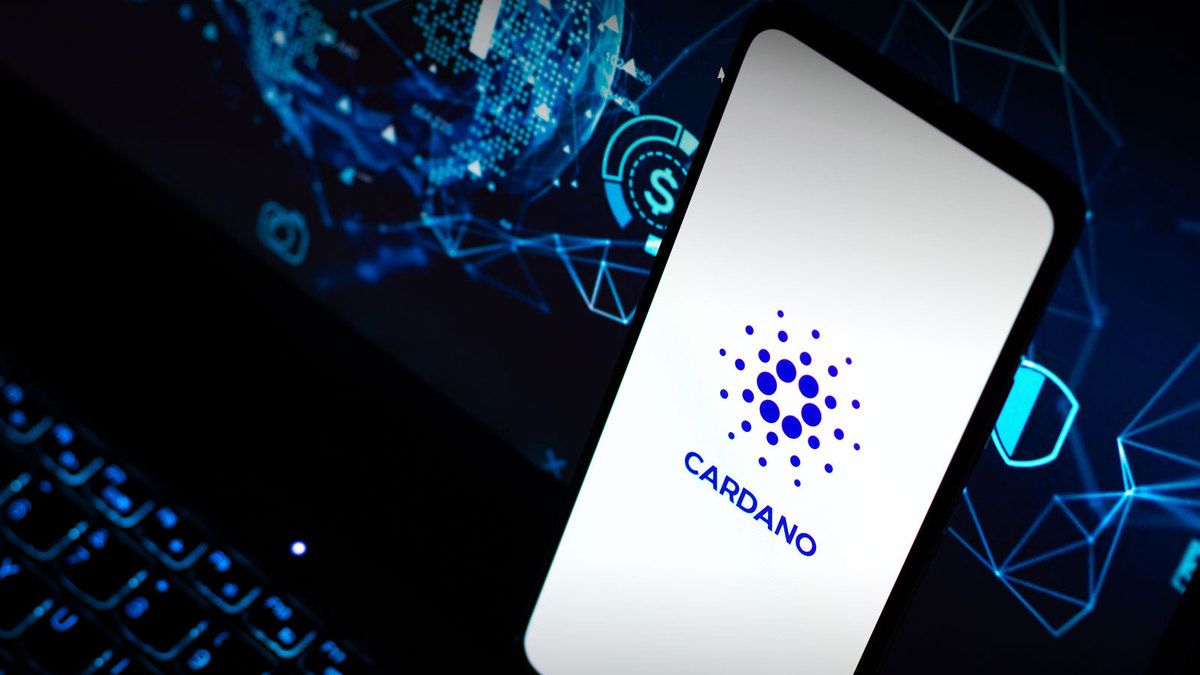 Cardano Network Activity Spikes On FTX Crash, Here’s Detailed Insight