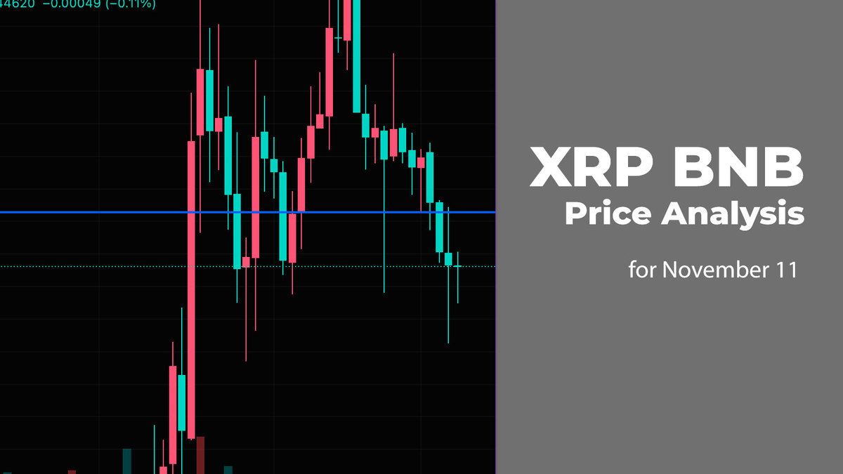 XRP and BNB Price Analysis for November 11