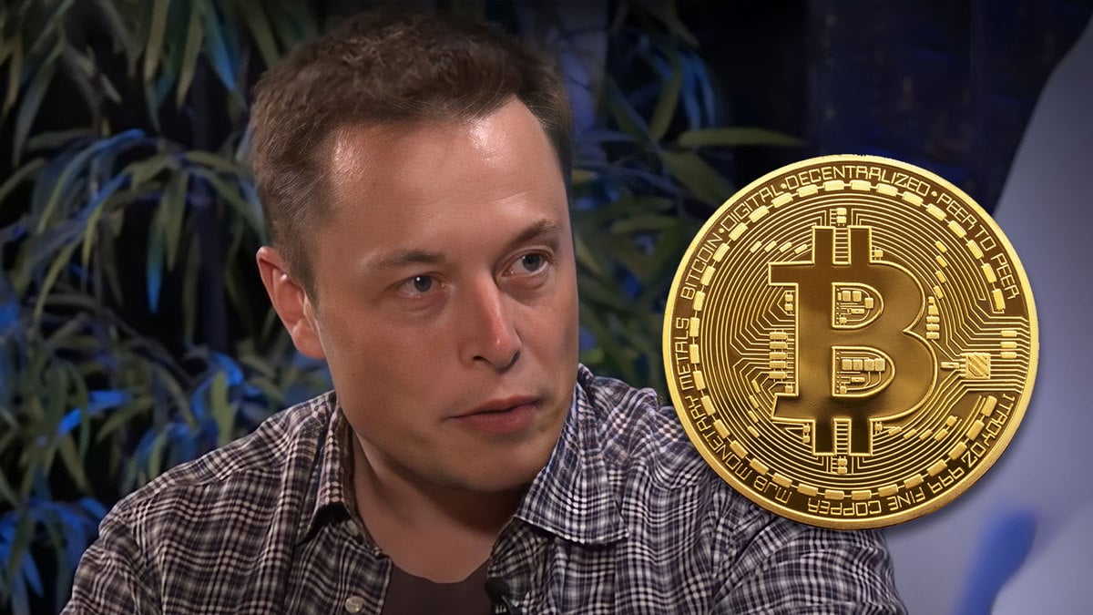 Elon Musk On Bitcoin & What Could Be Stopping It Right Now