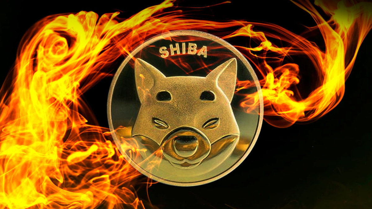 SHIB Burn Rate Spikes 1083% Amid Highest Daily Burn in Weeks