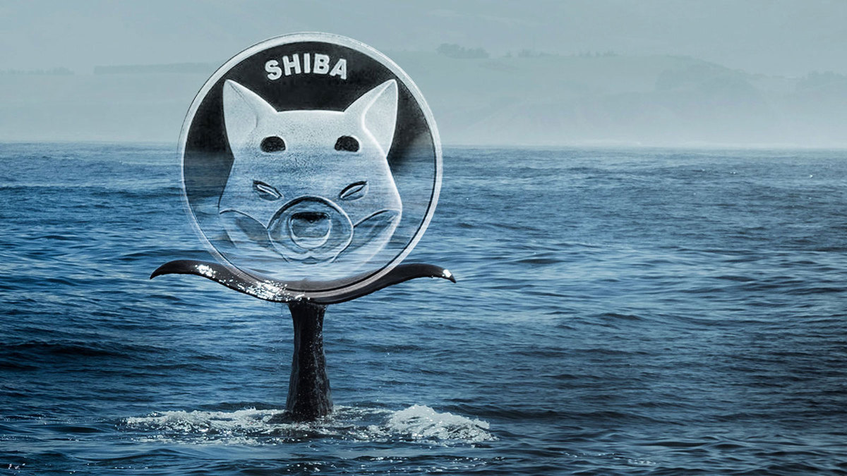 SHIB Reacts to Whales’ Buying, Will Price Burn an Extra Zero?