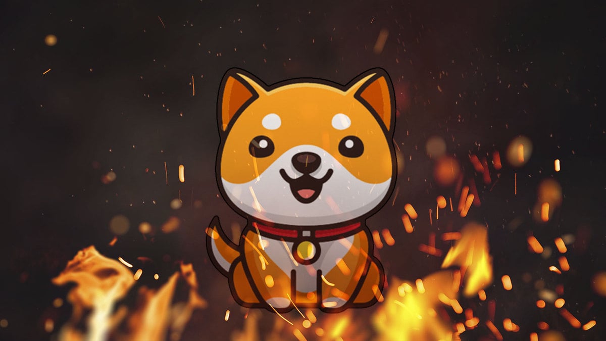 Here’s How Massive Amount of BabyDoge Can Be Burned: Details
