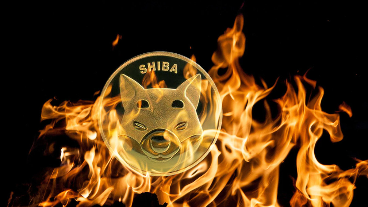 Shiba Inu Sees Nearly 100% Weekly Burns, What’s Next on SHIB Price?