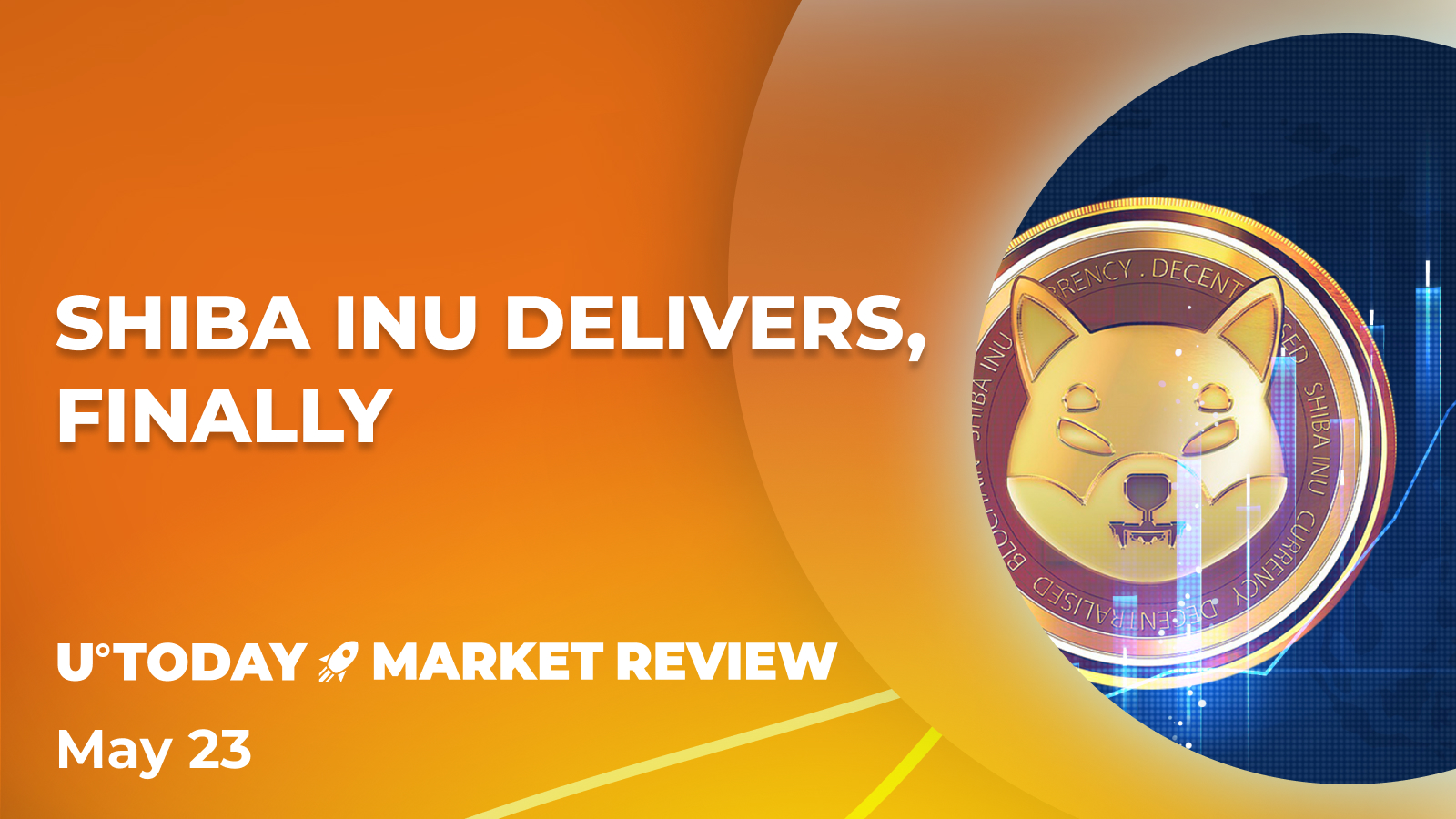 Shiba Inu (SHIB) Finally Soars Upward, Gaining Slight Momentum