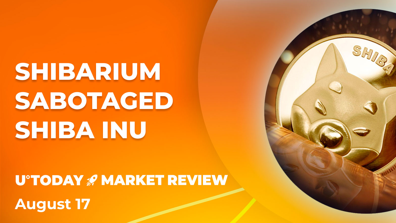 Shiba Inu (SHIB) Shibarium Launch: What to Expect Long Term