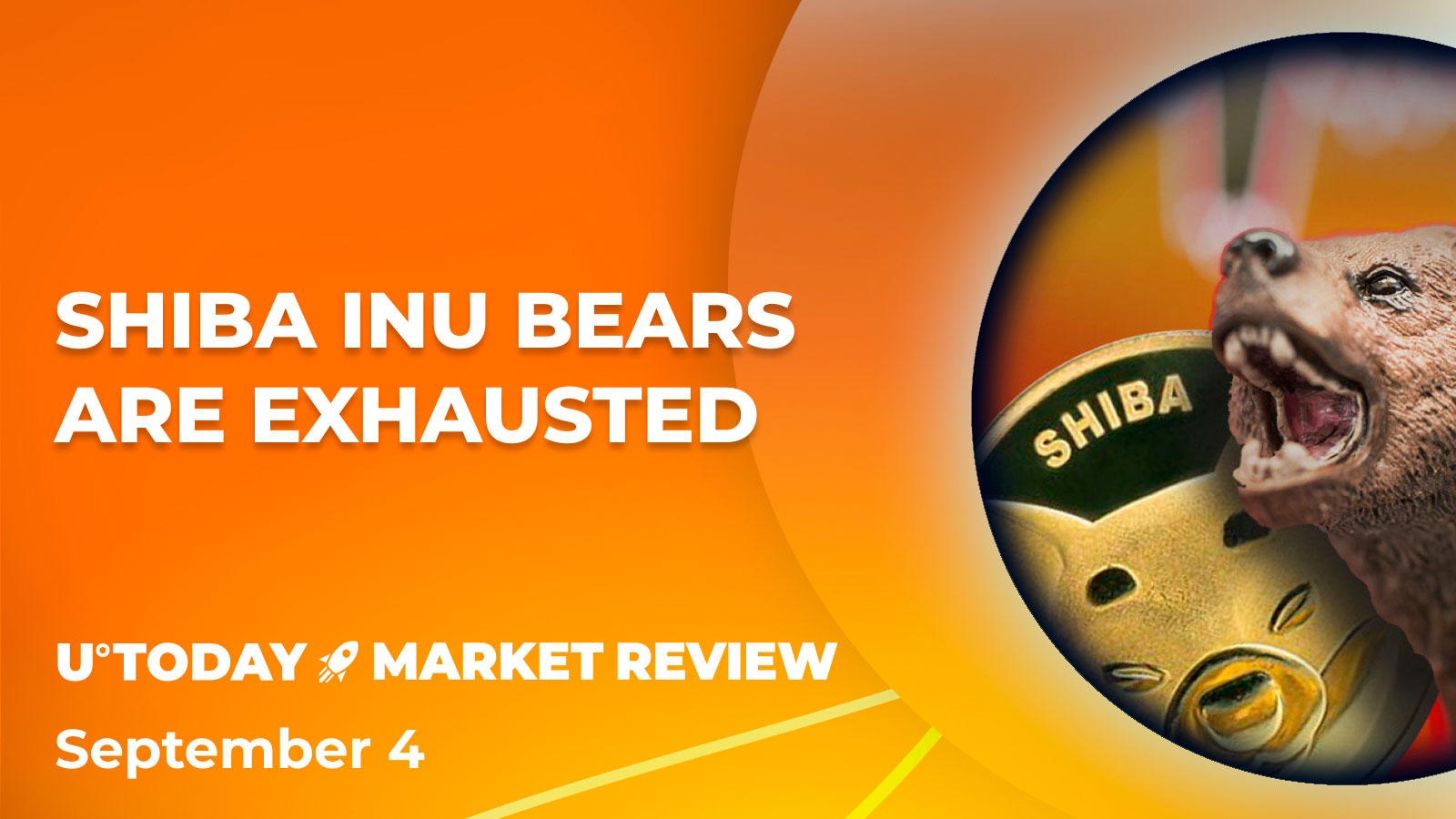 Shiba Inu (SHIB) Shows Real Signs of Reversal: Data