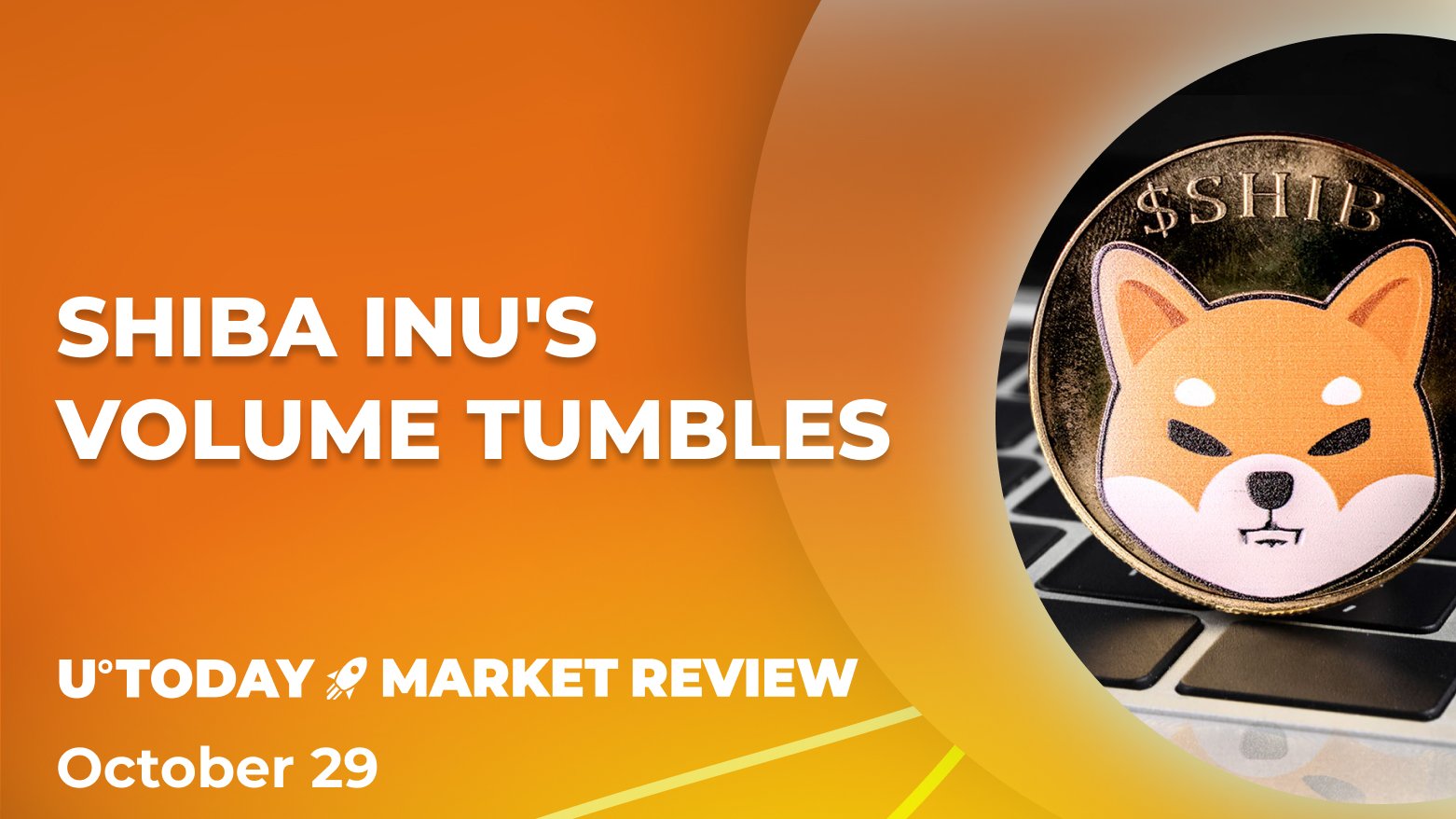 Shiba Inu (SHIB) Volume Back in Shambles, but It Is Surprisingly Bullish