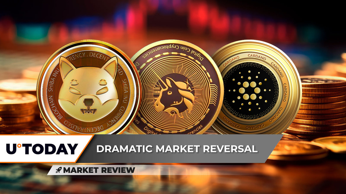 Shiba Inu (SHIB) Breaks Down Dramatically, Uniswap (UNI) Freefall Continues: Next Support, Cardano (ADA) Lands on Major Support