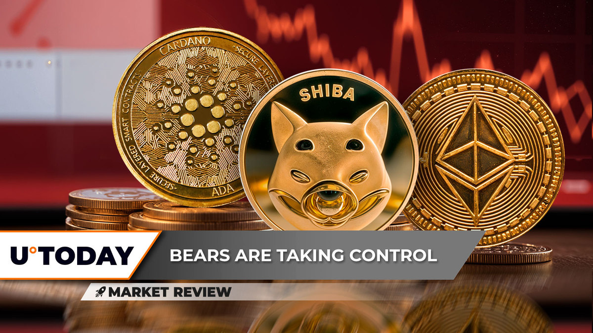 Cardano (ADA) in Dire State, Shiba Inu (SHIB) Needs Some Help, Ethereum (ETH) Dominance Continues