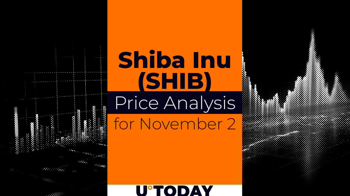 SHIB Price Prediction for November 2