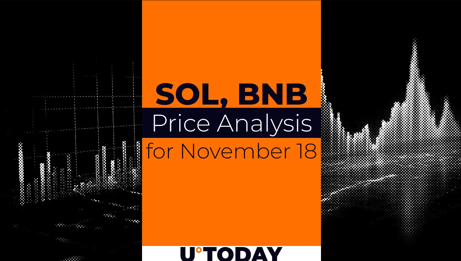 SOL and BNB Price Prediction for November 18