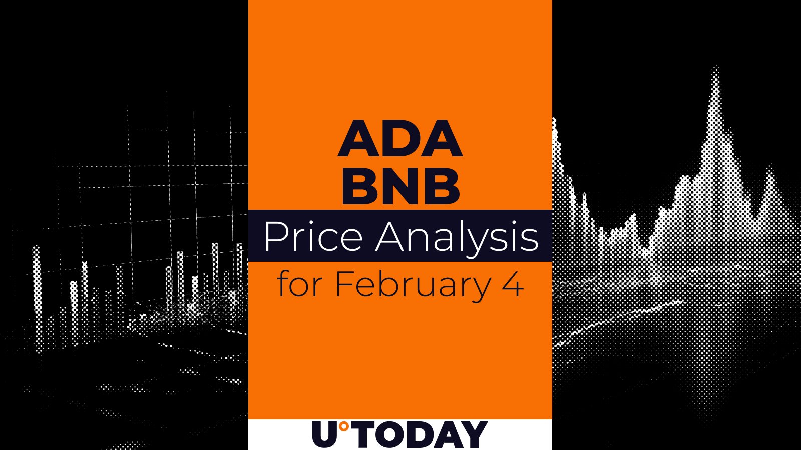 ADA and BNB Price Prediction for February 4