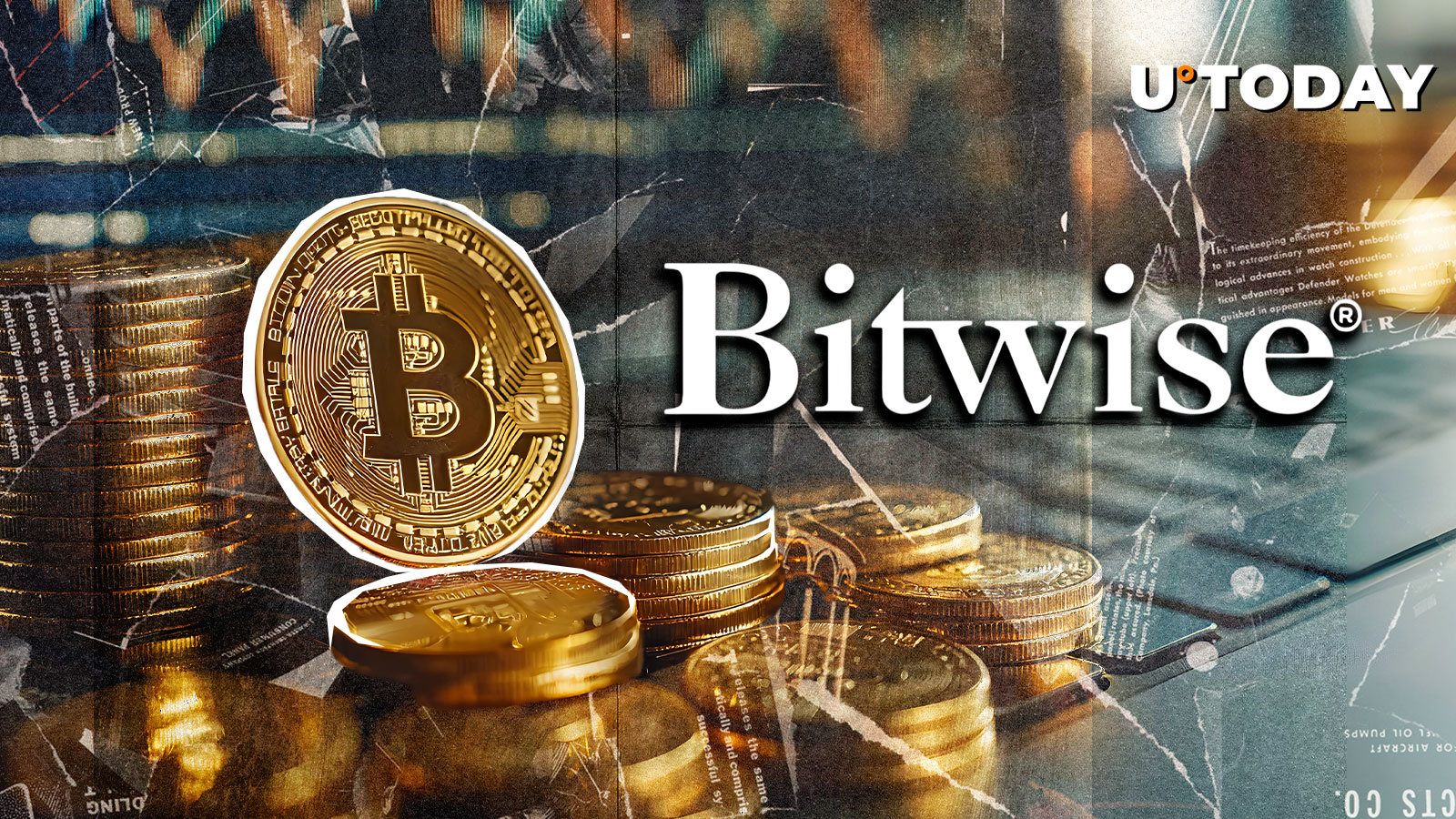 2025 Will Be 'Watershed Year' for Bitcoin, Bitwise CEO Predicts
