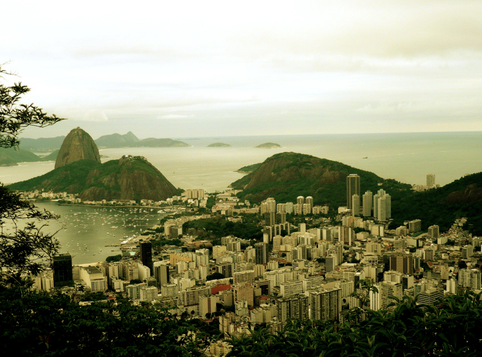 Brazil's Central Bank Director Rejects Crypto Reserve