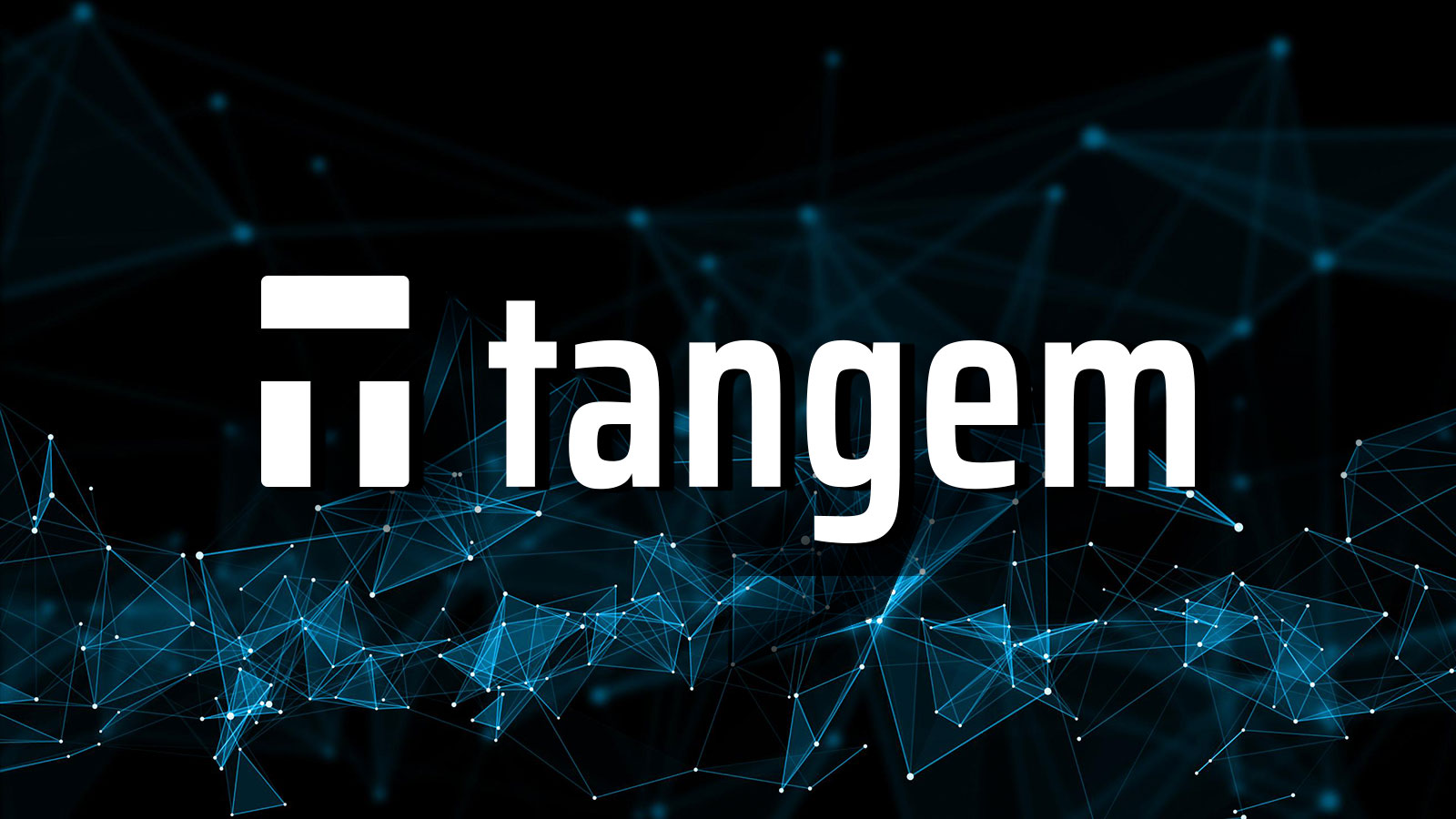 Tangem Wallet Launches 0% Commission Campaign for Stablecoin Swaps