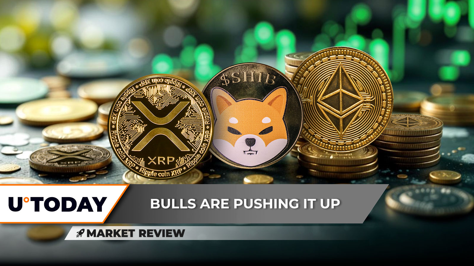 XRP Can Perform Biggest Breakthrough in 2025, Shiba Inu (SHIB) Bull Run Canceled, Ethereum (ETH): Way to $2,000 Open