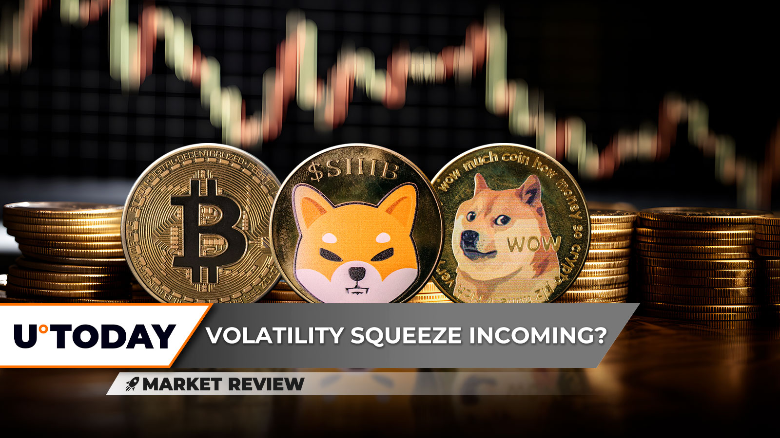Bitcoin (BTC) Absolutely Getting Squeezed, Shiba Inu (SHIB) Volume Nears Zero, Dogecoin (DOGE) Investors Melting Away