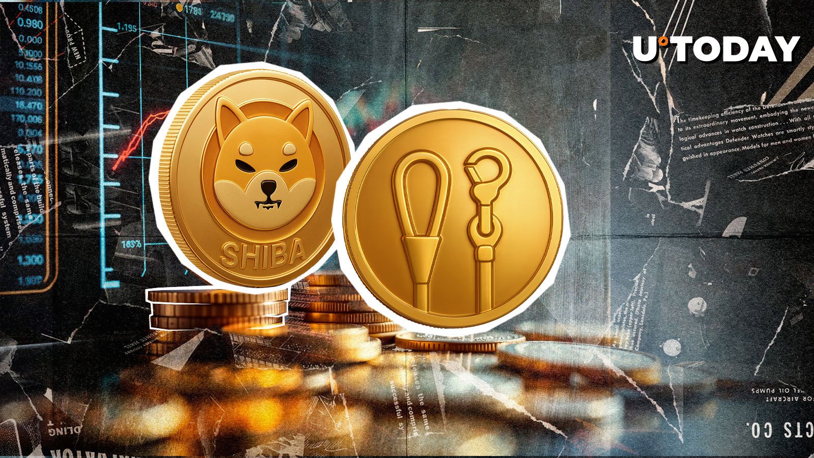 Shiba Inu Top Developer Breaks Silence on LEASH Supply Boom
