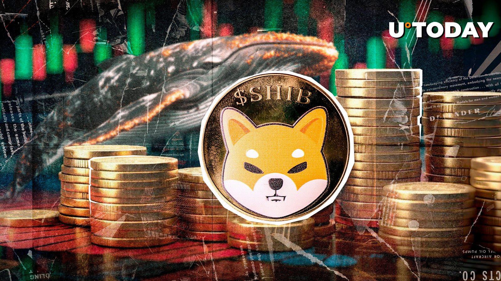 -100%: Shiba Inu (SHIB) Whales Disappear
