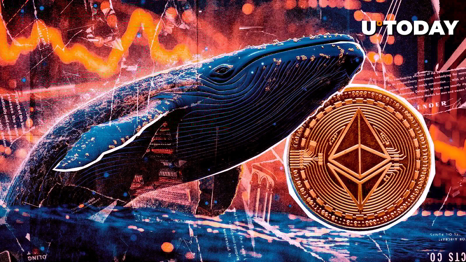 $1.62 Billion in Ethereum Bought By Single Whale, What's Happening?