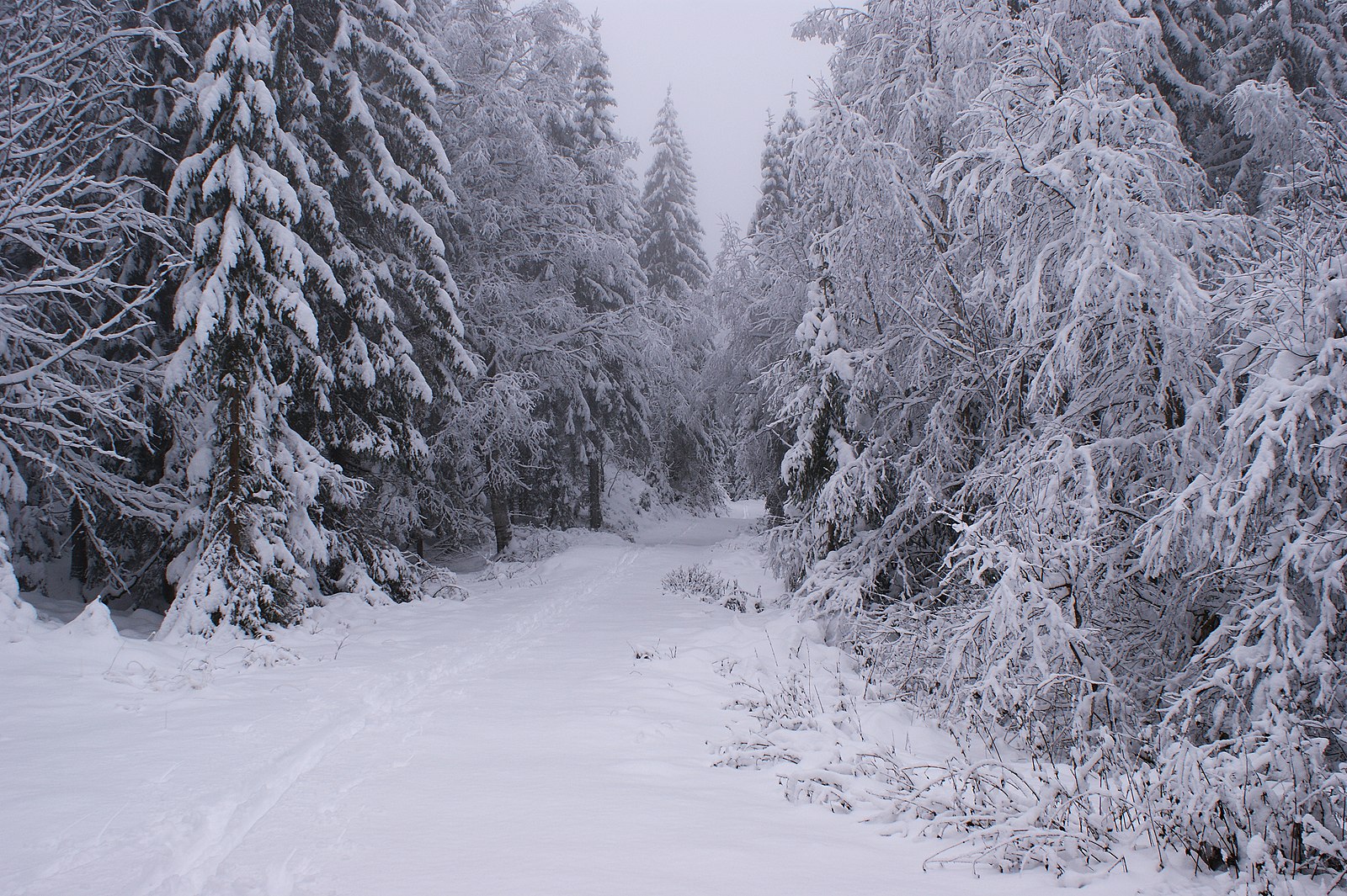 Will This Crypto Winter Be Different? Top Analyst Explains