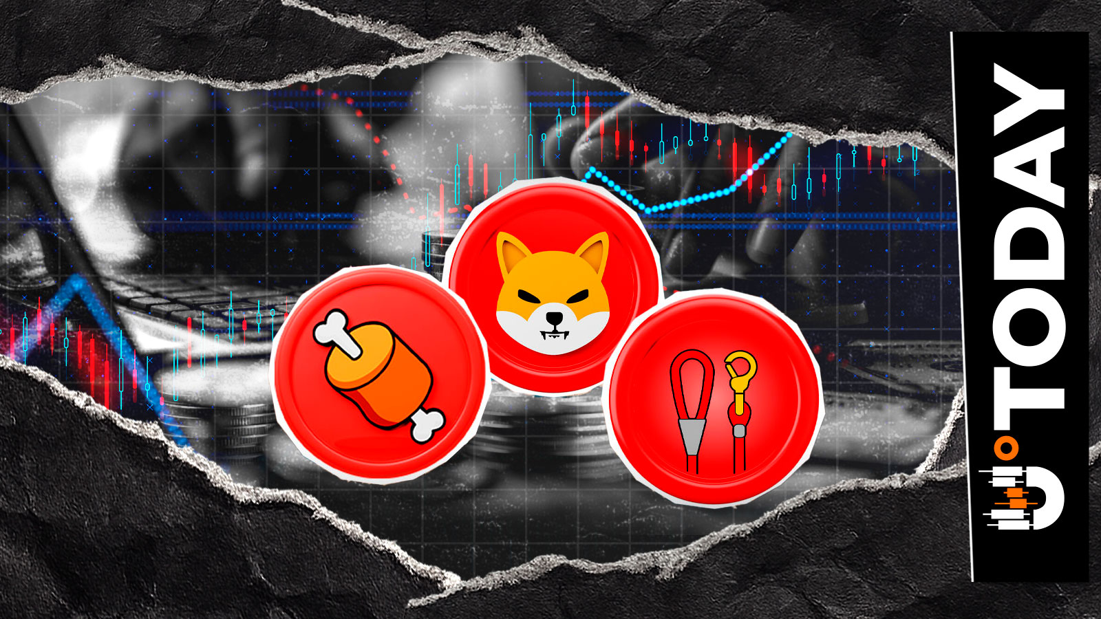 Shiba Inu Exec on SHIB, BONE, LEASH: 'Darkest Periods Eventually Turn'