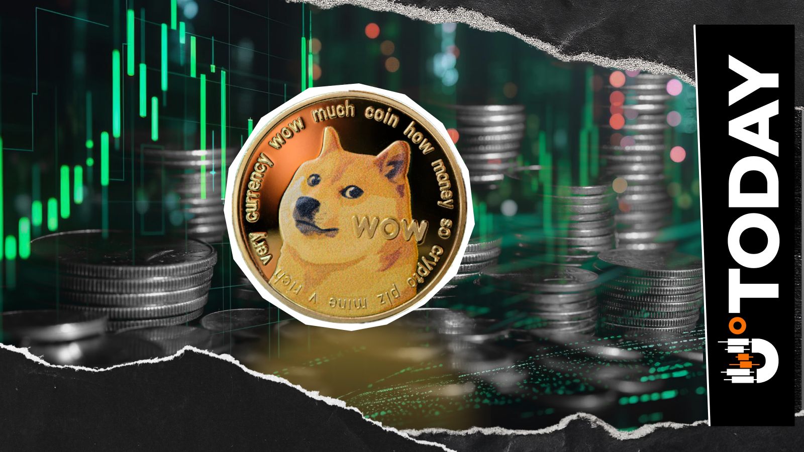 'Big Fan of DOGE': World’s Highest IQ Holder Makes Surprising Reveal