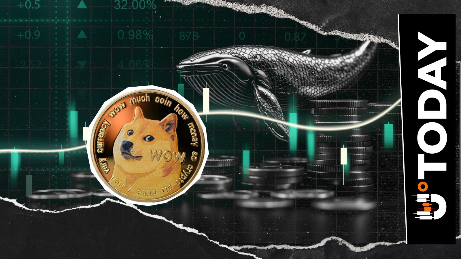 Dogecoin Whales Go Quiet, What’s Going On?