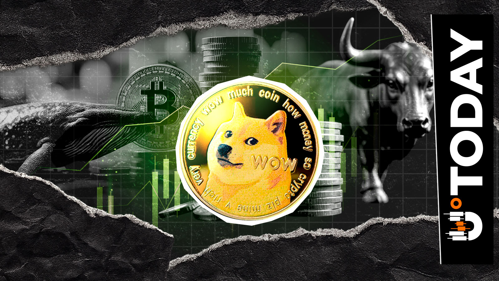 Mysterious Bitcoin Whale Becomes Dogecoin Bull with 15,662,887 DOGE Long