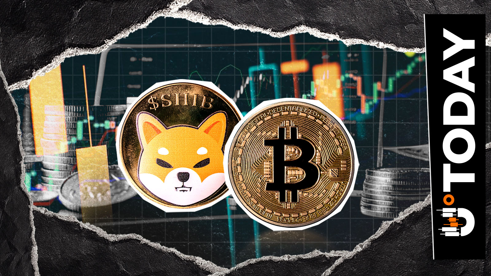 Shiba Inu (SHIB) More Resistant Than Bitcoin? Selling Pressure Avoided