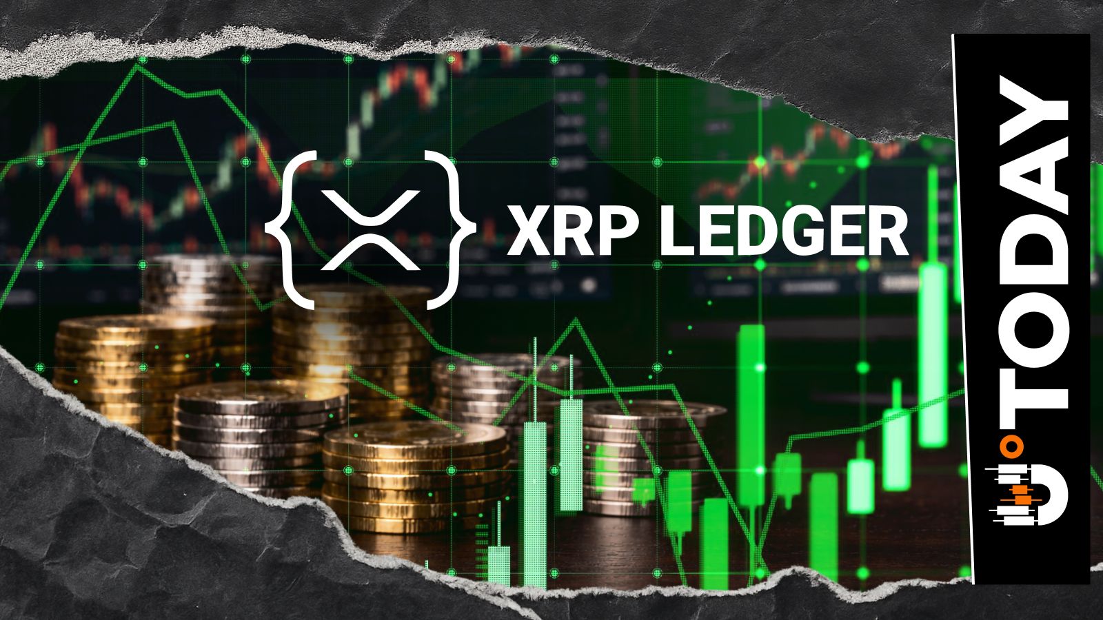 XRP Ledger (XRPL) Breaks 13-Year Milestone in Non-Empty Wallets as Adoption Peaks