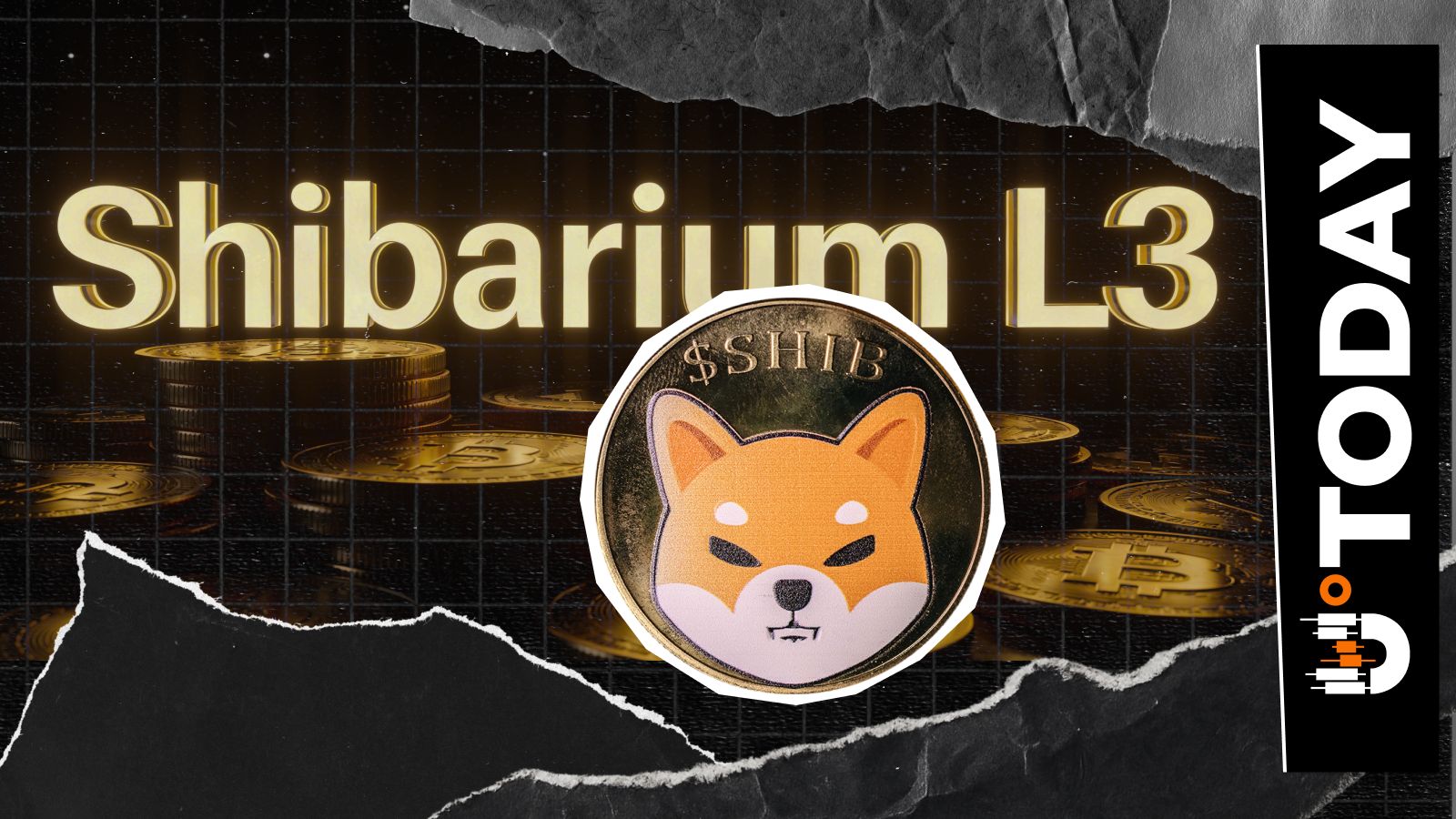 Shibarium L3 is 'Currently Under Testing': When is the Mainnet Launch?