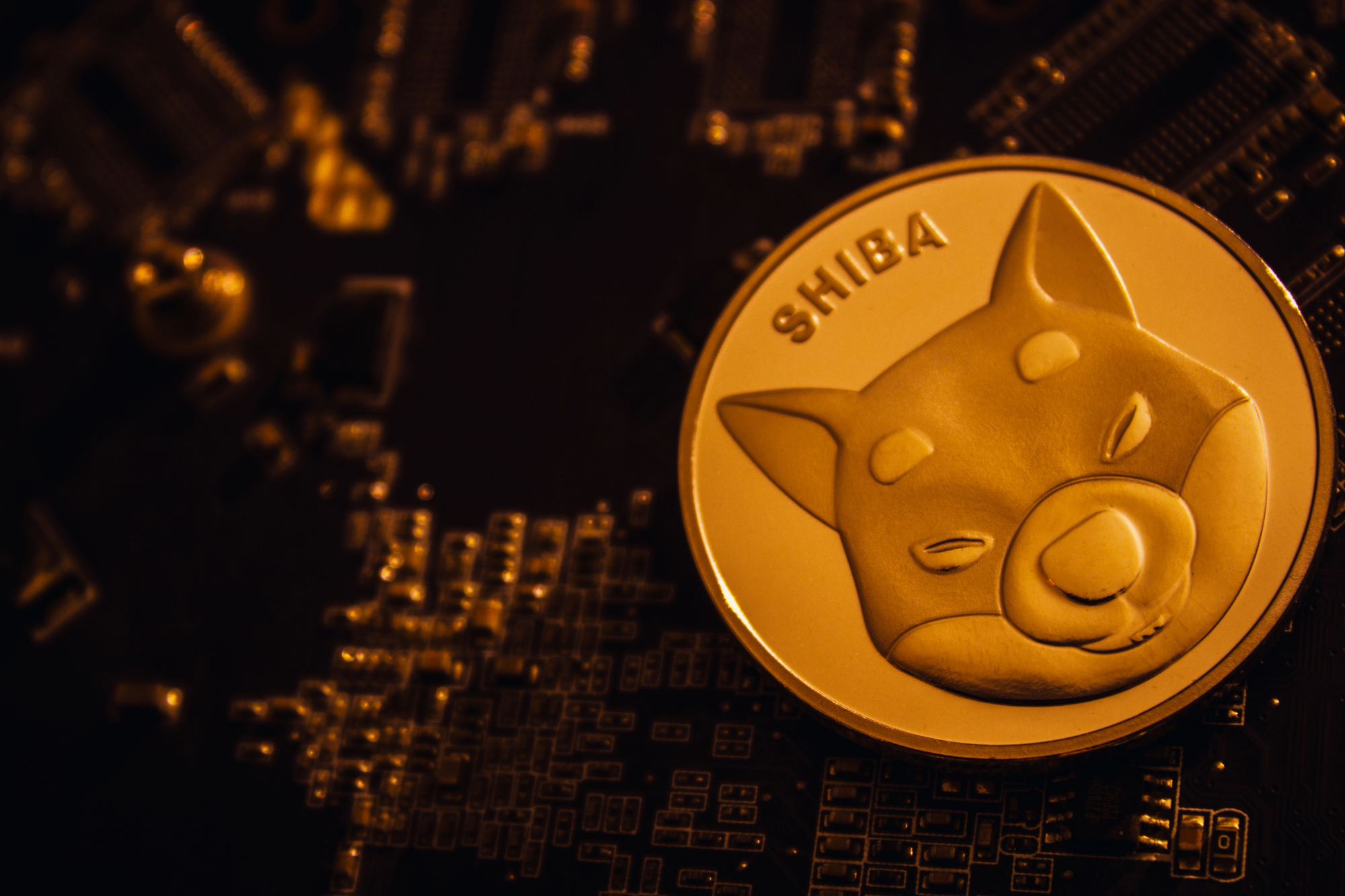 -1813% Shiba Inu Print Looks Worrisome, But It's Not What You Think