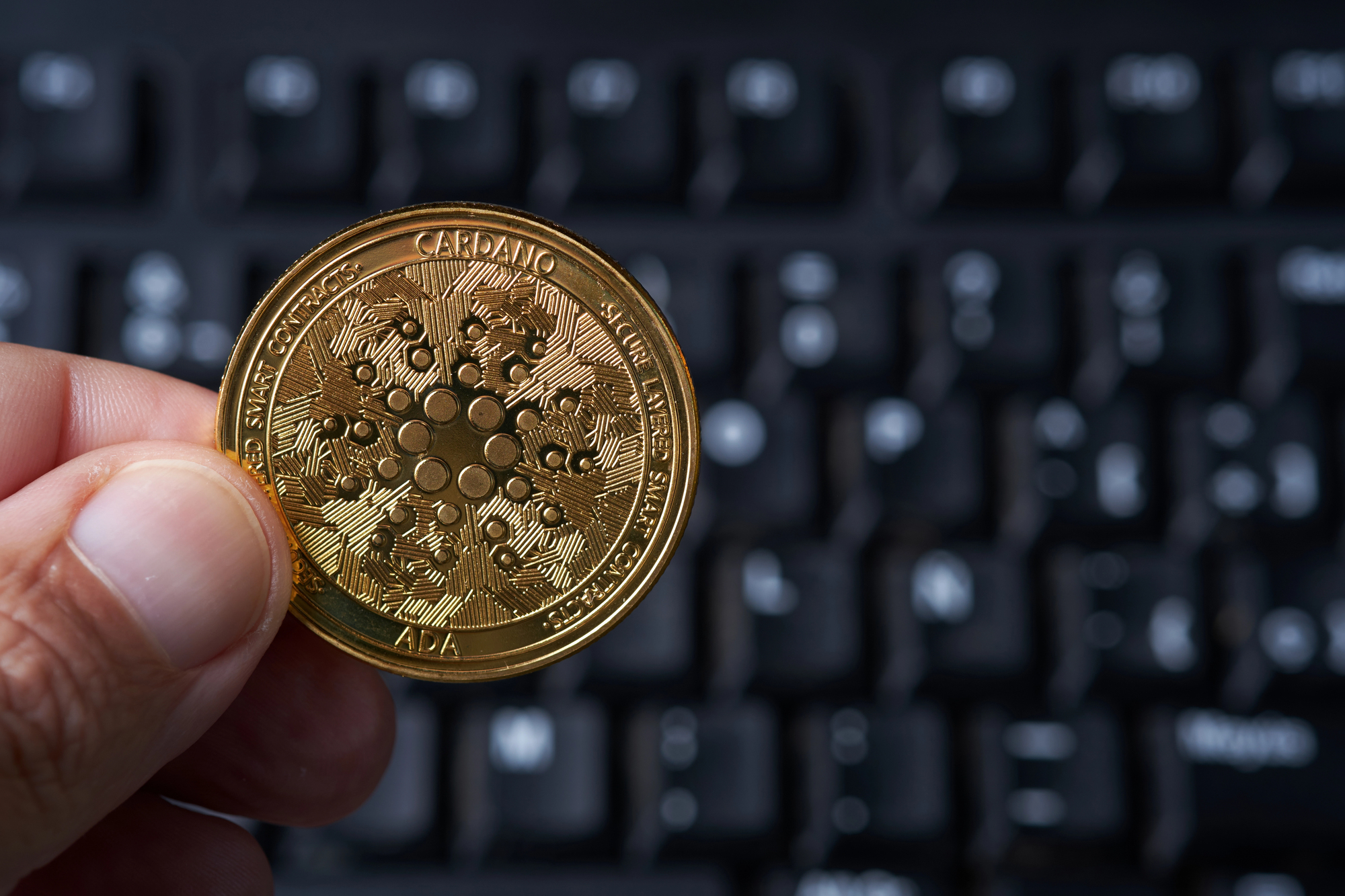 Cardano (ADA) Recovery is More Than Possible Now: 150% Volume Increase
