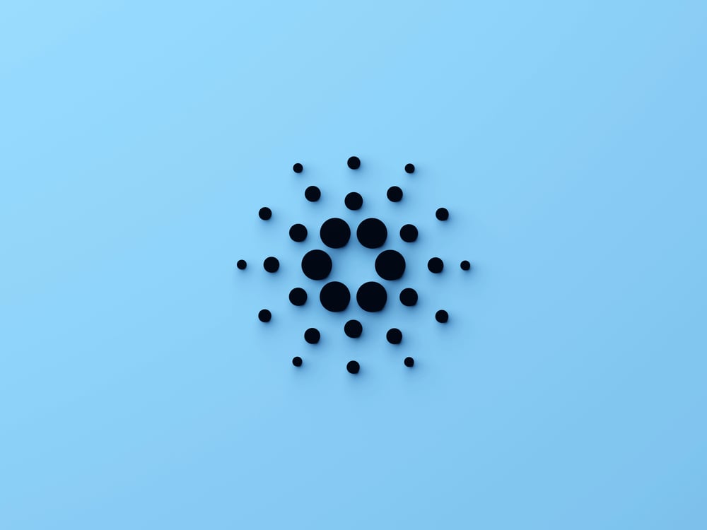 Cardano Summit Canceled After Treasury Funding Fails