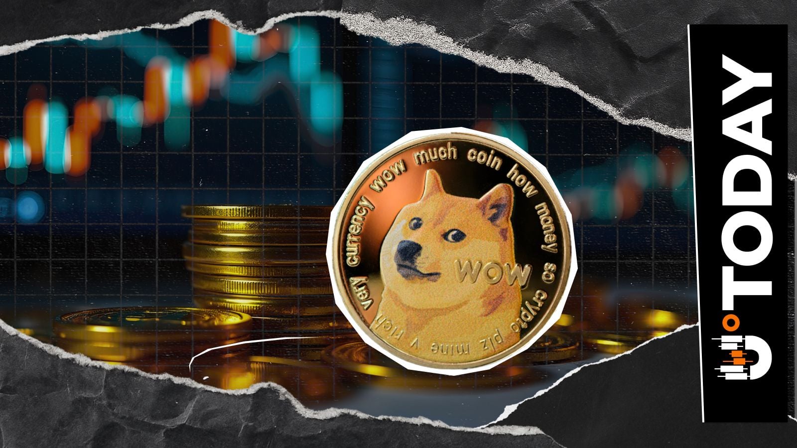 '1 DOGE = 1 DOGE': Dogecoin Director Says What Truly Matters Amid Market Drop