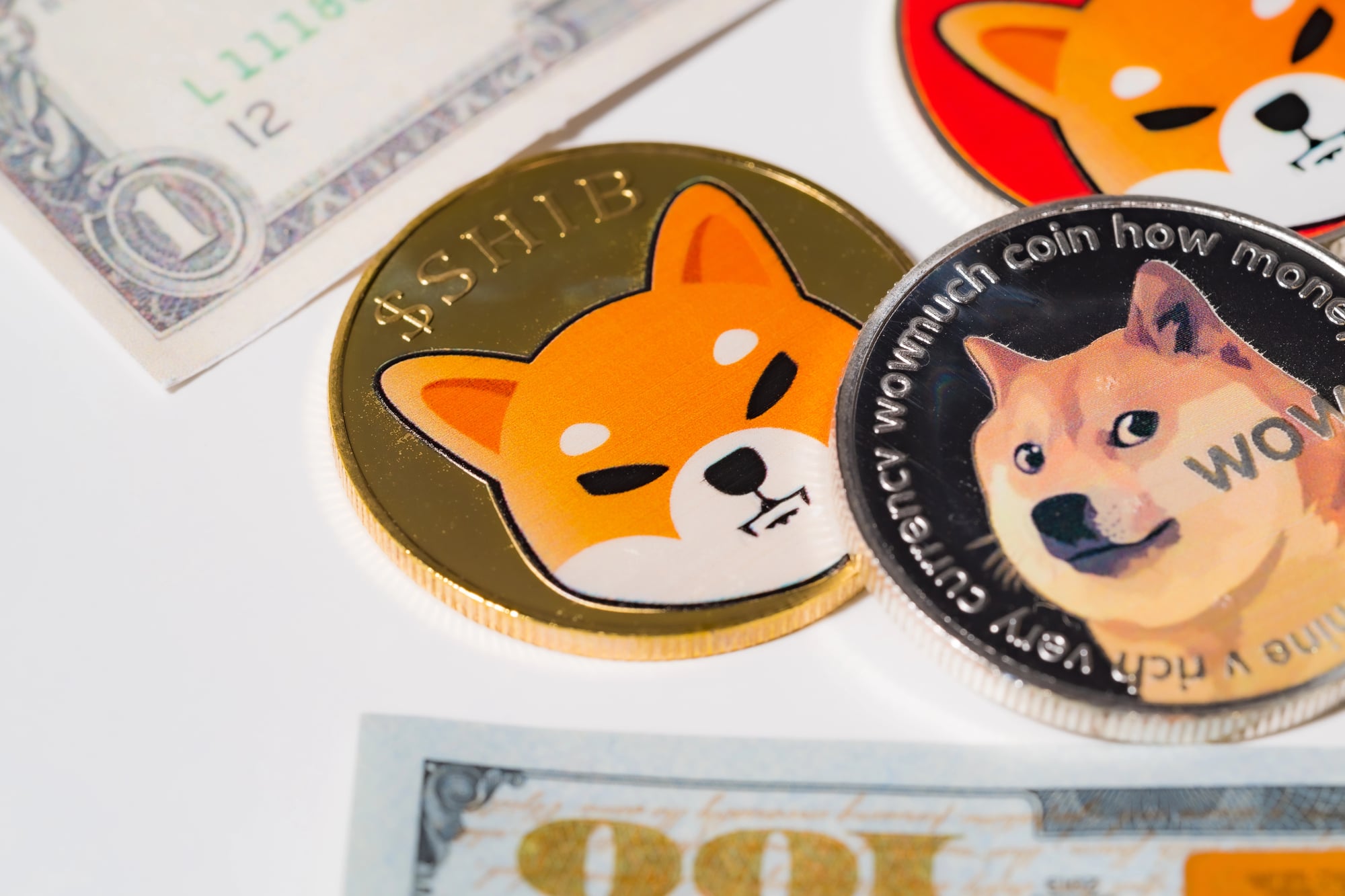 Japan's Largest Marketplace Lists Shiba Inu (SHIB) and Dogecoin for 23 Million Users