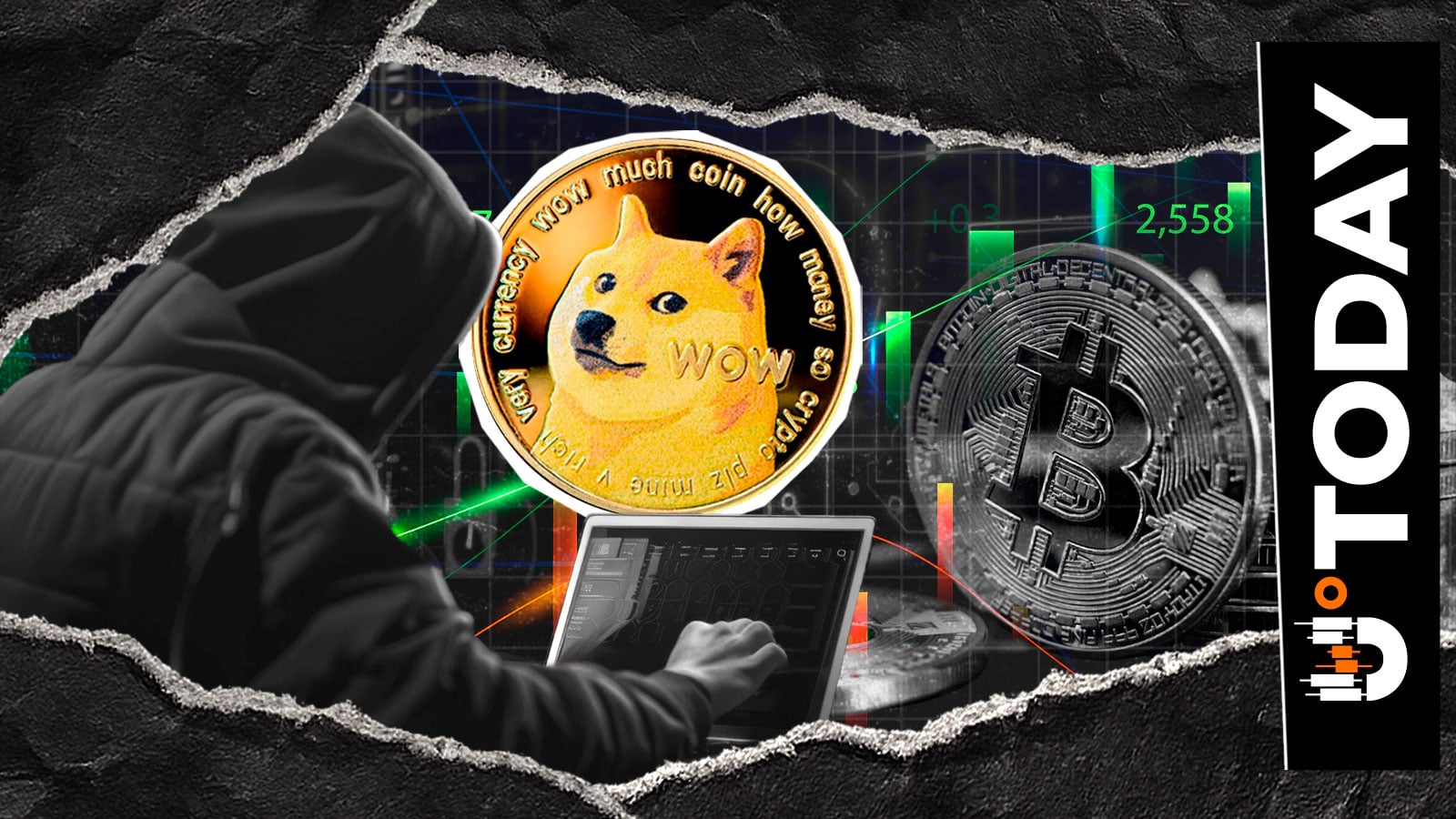 Dogecoin Contributor Shares Urgent Wallet Security Warning With Bitcoin Holders