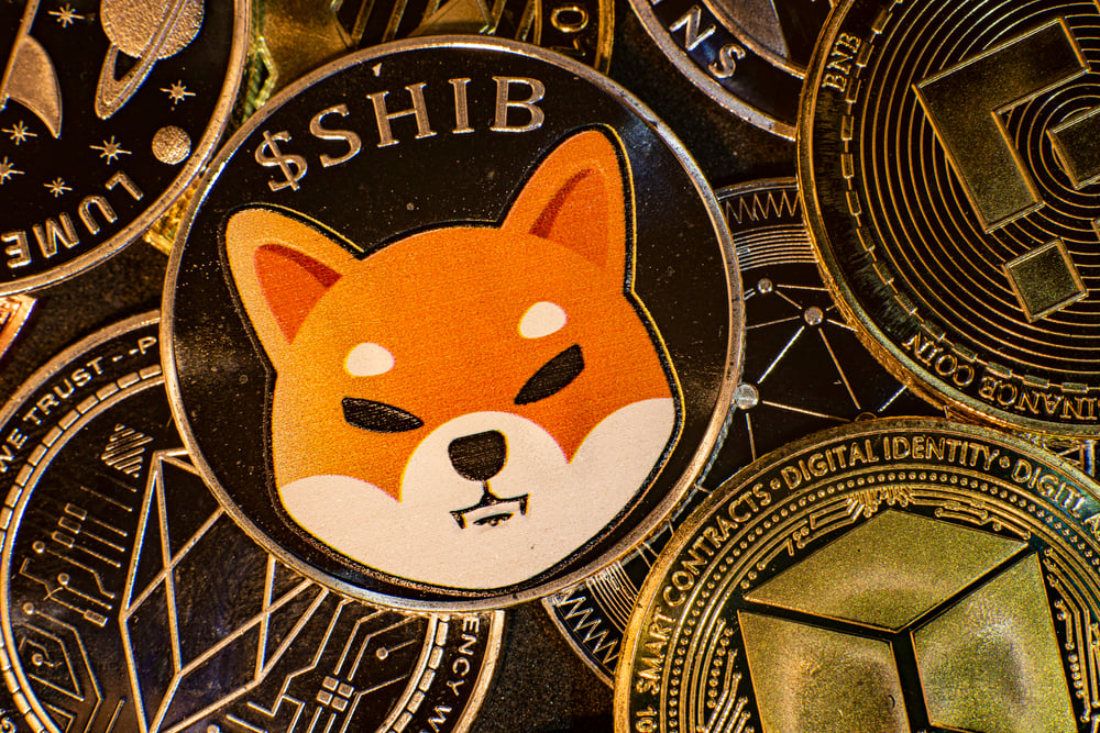 7 Out of 7 Shiba Inu (SHIB) Spot Flow Timeframes Turn Negative