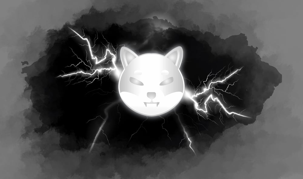 Shiba Inu (SHIB) Loses 78% in One of the Most Important Metrics for Price
