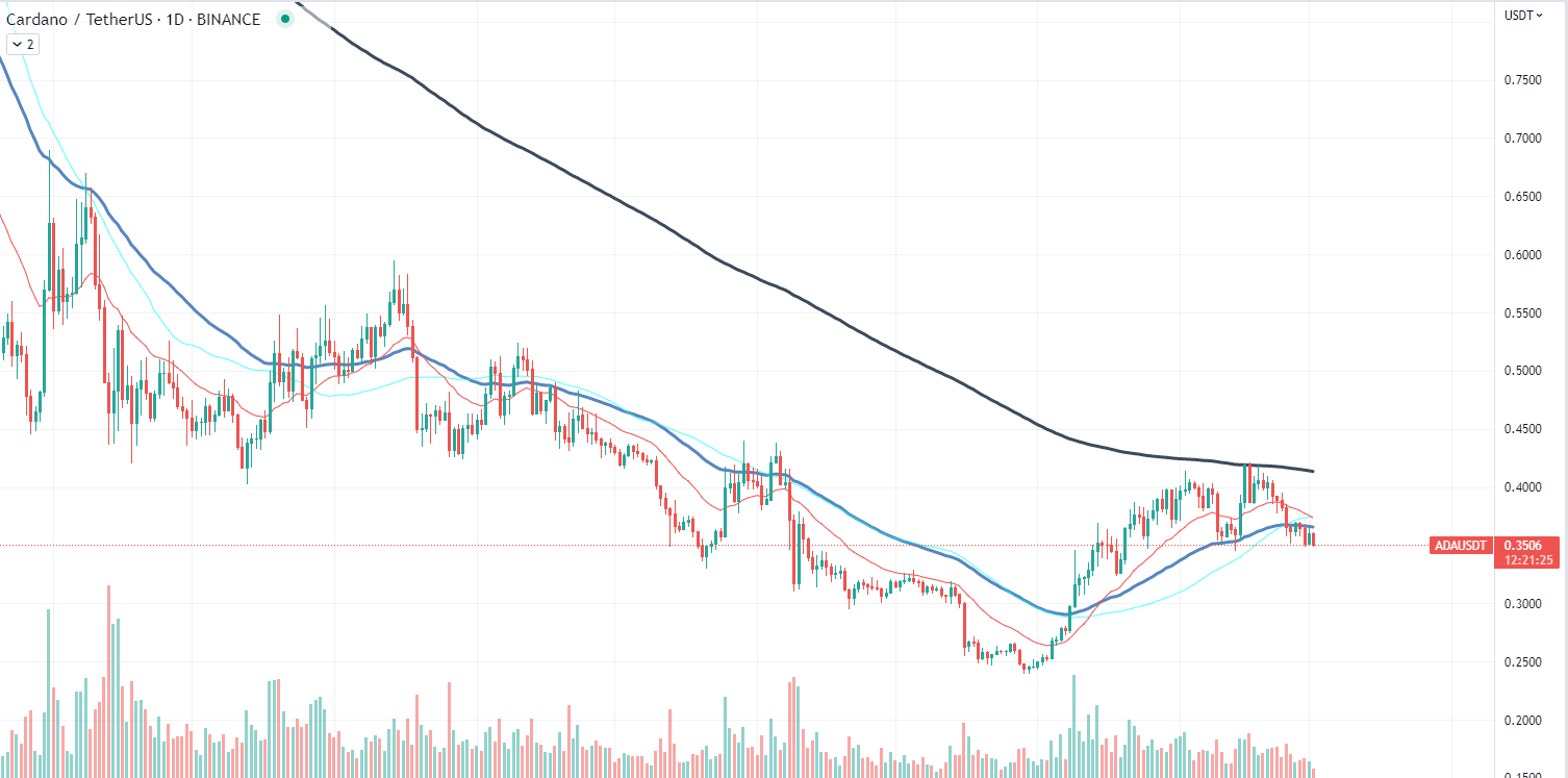 Cardano Chart