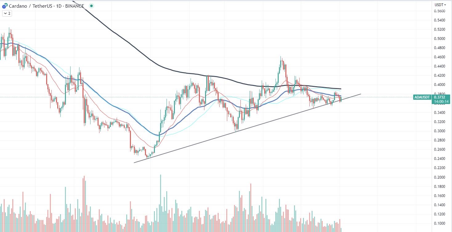 ADA chart