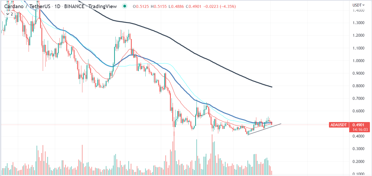 គំនូសតាង Cardano