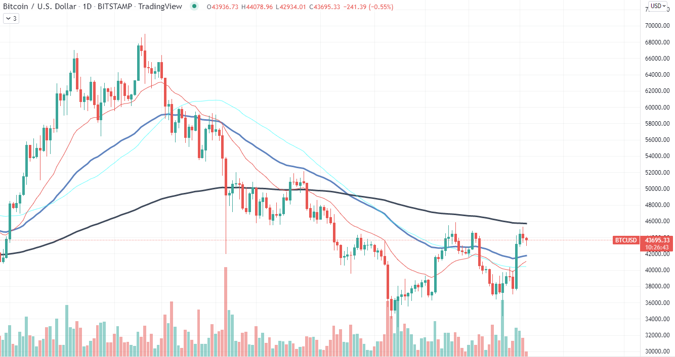 Bitcoin Chart 