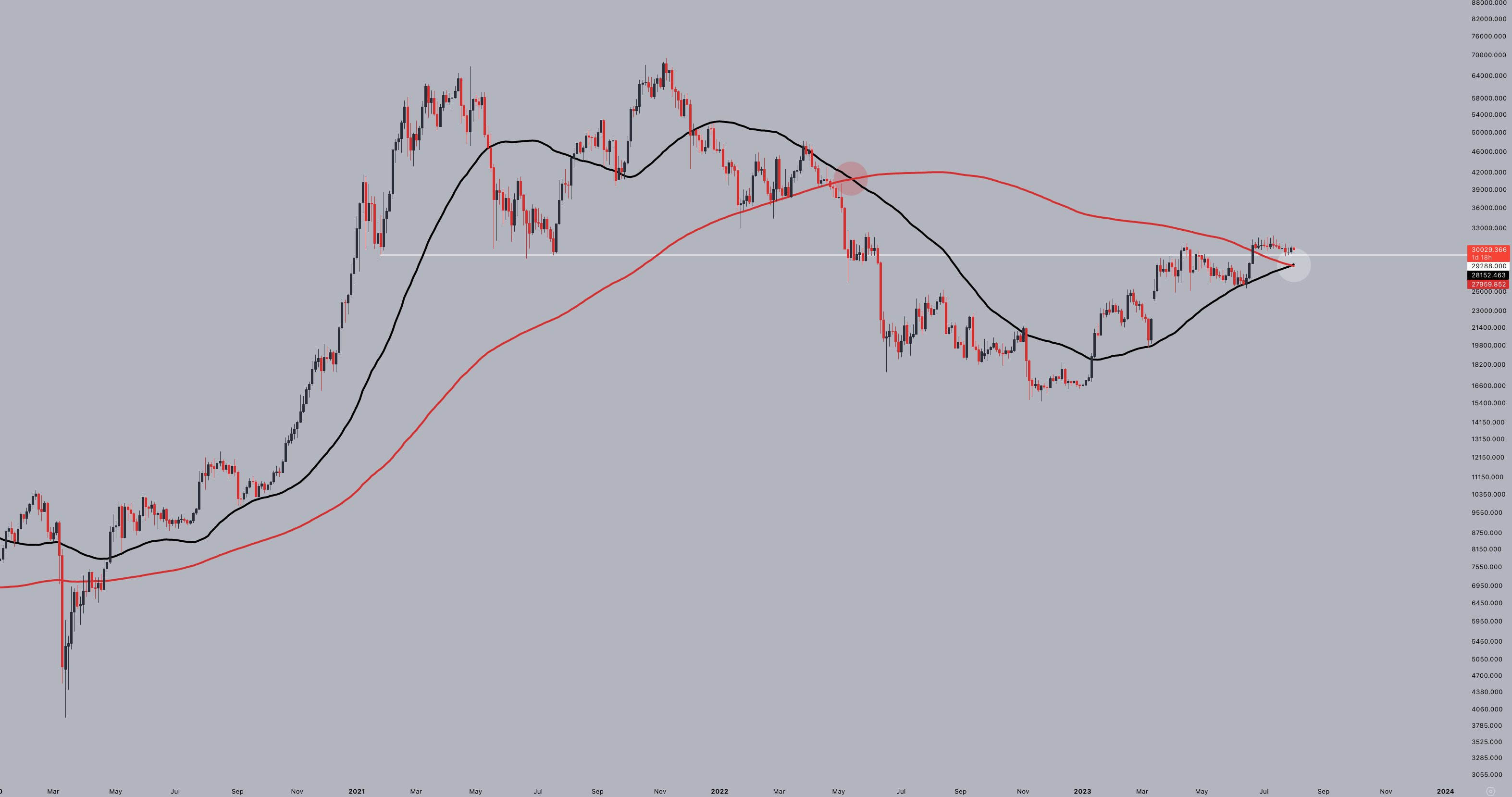 TradingView