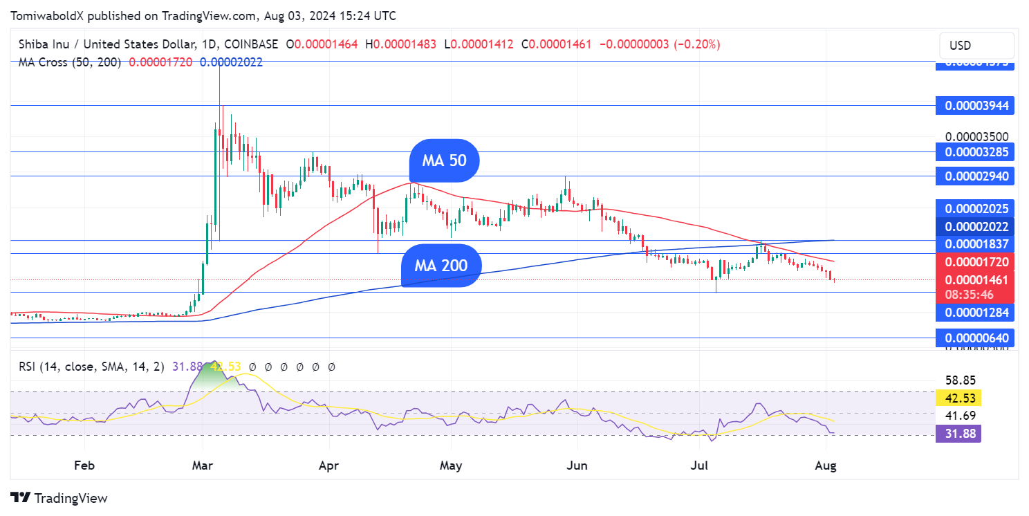 Shiba Inu Crucial Support Revealed Amid 5% Price Drop