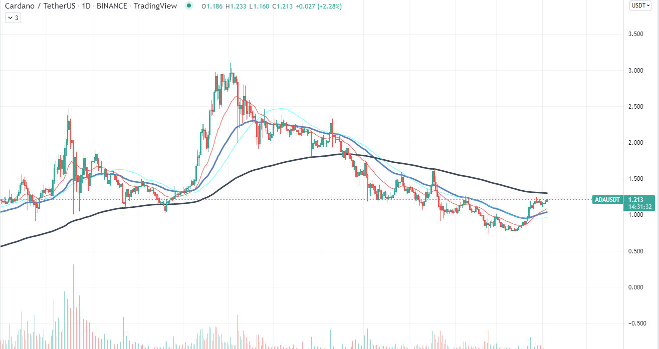 cardano chart