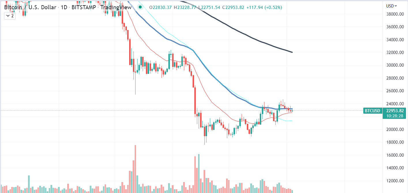 Gráfico diário de Bitcoin