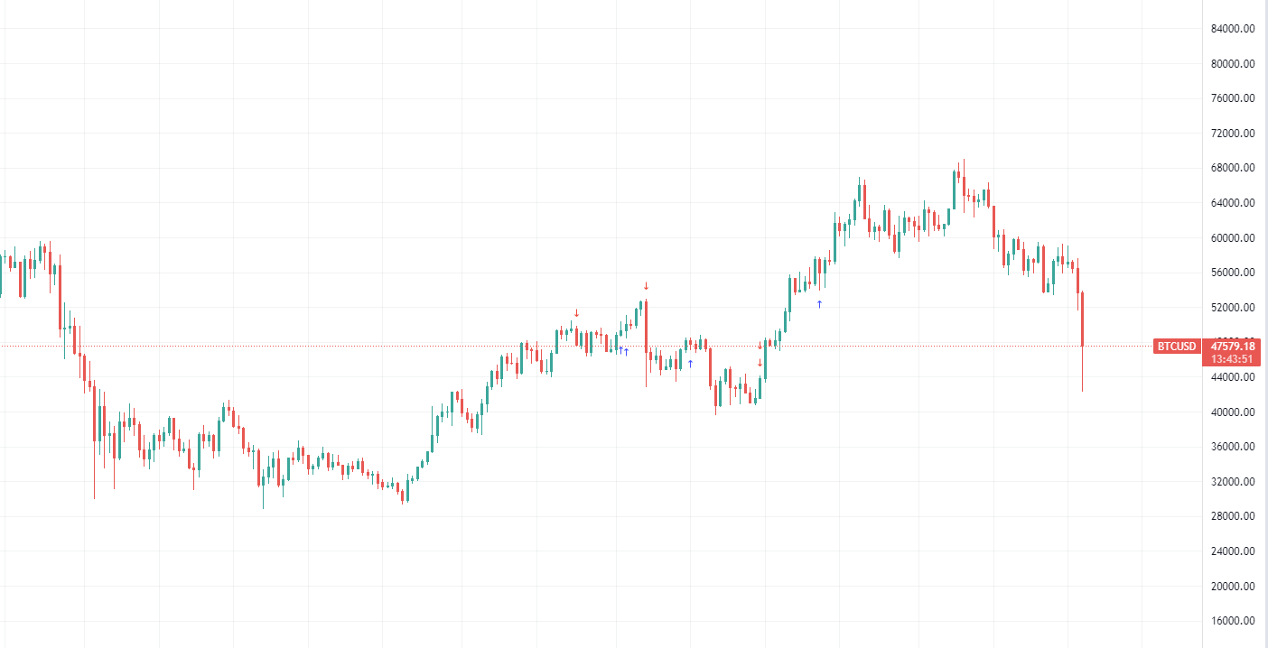 TradingView Daily Chart