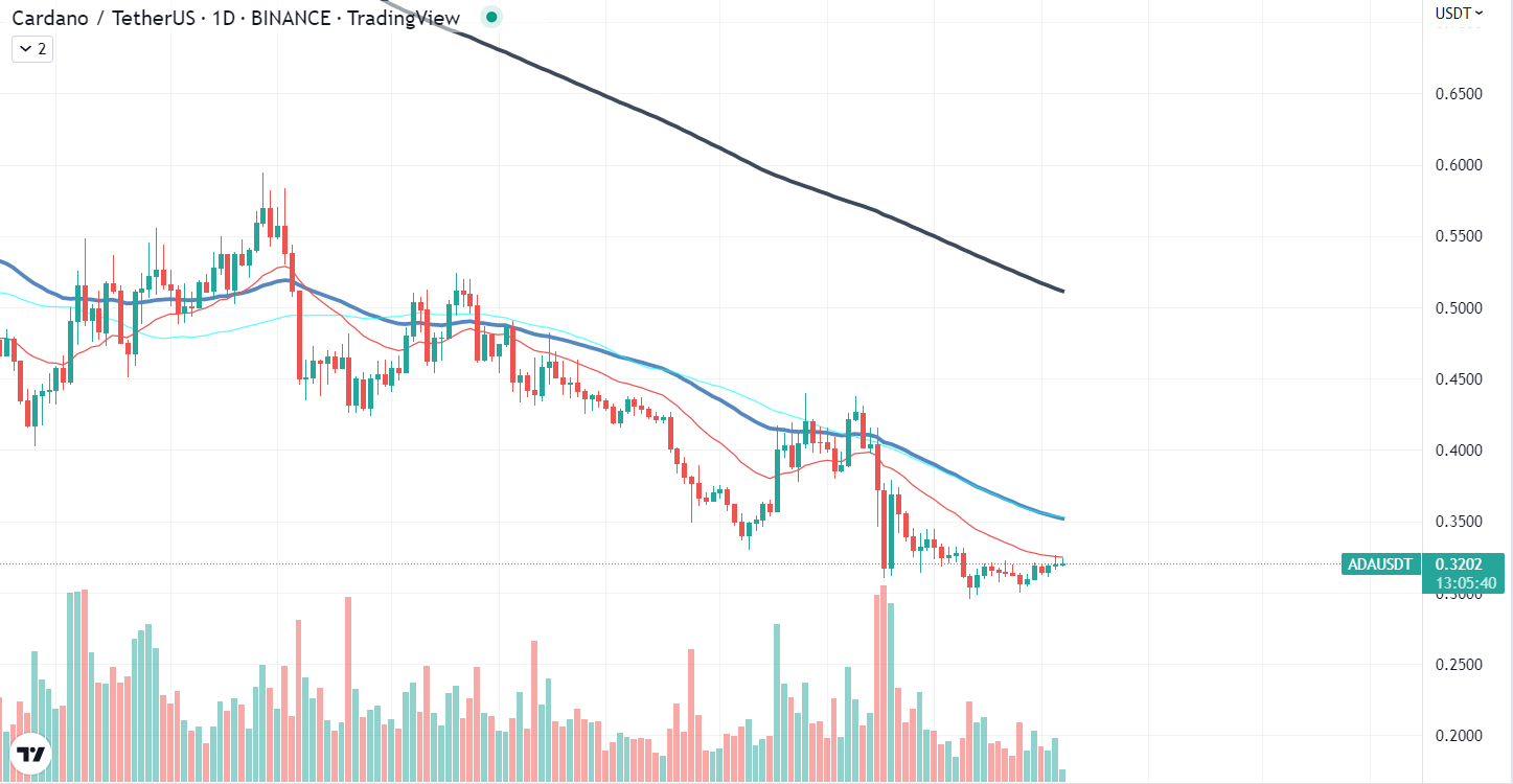 Cardano